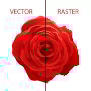 Raster vs. Vector Images: What’s the Difference?