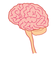 Mind-Driven Design: 5 Ways to Use Neuroscience for Impactful Posters