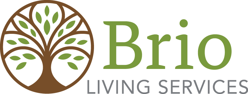 Brio Logo