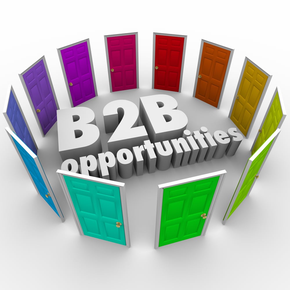 B2B Opportunities words in 3d letters surrounded by colored doors as job or career paths for success in business sales